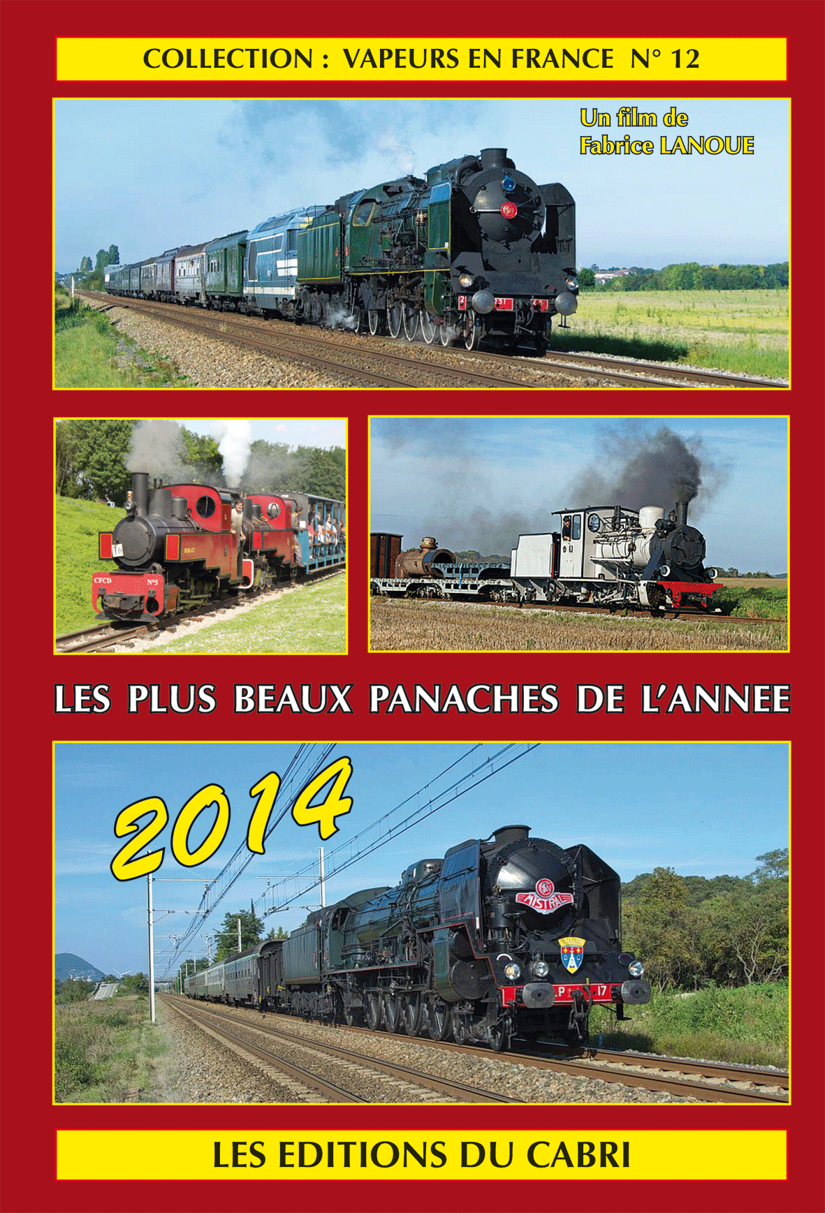 DVD : Collection Vapeurs en France n° 12 : Les plus beaux panaches de l'année 2014